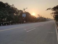 -漕湖湿地公园