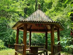 -天女山森林公园