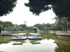 -金砂公园