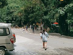 -燕塞湖鸟语林景区