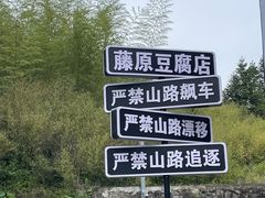 -江南天池