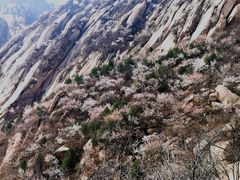 -北京凤凰岭