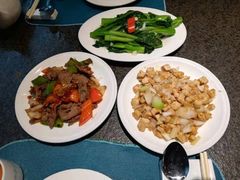 -深圳维景酒店-维景轩