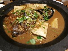 -金掌勺·锅包肉(广渠门店)