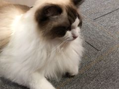 -零纪元VR体验馆·桌游(黄浦店)