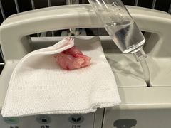 -萌兽医馆·犬猫专科·眼科中心·宠物医院(朝阳门分院)
