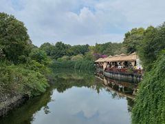 -成都南湖公园