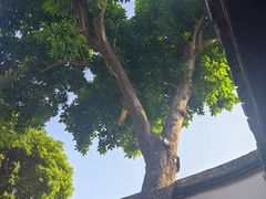 -福建省非物质文化遗产博览苑