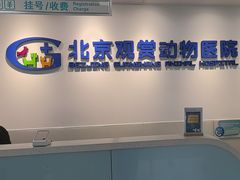 -北京观赏动物医院·24小时大型综合·猫专科·异宠专科