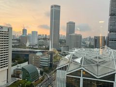 -新加坡泛太平洋酒店