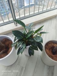 -HEYAN荷妍专业脱毛连锁机构