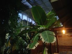 -龙达温泉生态城