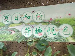 -陈家山荷花公园