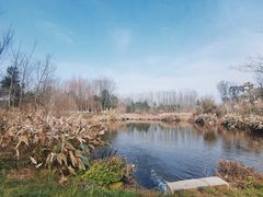 -桤木河湿地公园