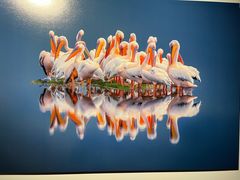 -罗红摄影艺术馆