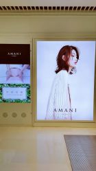 -程Studio
