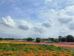 -江苏三台山国家森林公园