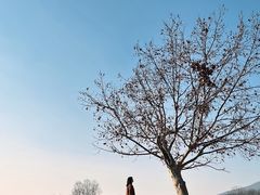 -钟山体育运动公园