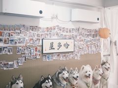 -星多哈·狗咖·拼豆·咖啡