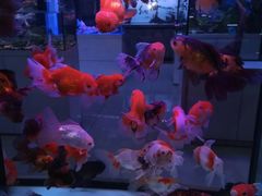 -三旗百汇商品城