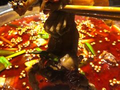 -宽口美蛙鱼头(大唐西市店)