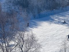 -密苑云顶乐园(云顶滑雪场)