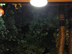 -巴倒烫陆派重庆火锅(南山店)