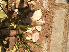 -郑州大学荷园二餐厅