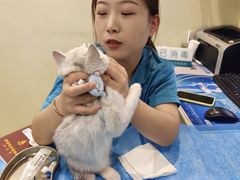-美迦爱-牙专科·兔科·骨科诊疗中心(北苑店)