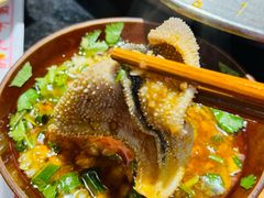 -大龙火锅(老店)