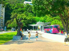 -大埔公路-马料水段香港中文大学(公交站)