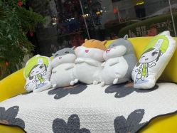 -苗医生草本科技祛痘