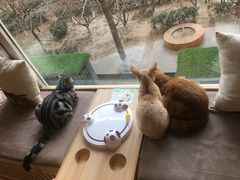 -猫和宫(六道口店)
