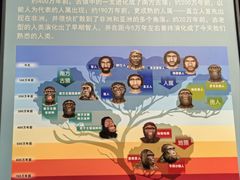 -柳州白莲洞洞穴科学博物馆