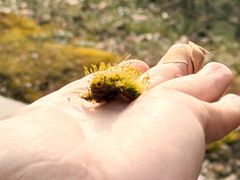 -盘龙城国家考古遗址公园