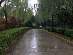 -西安汉城湖景区