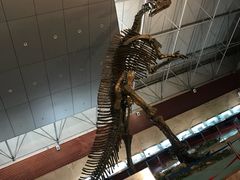-诸城市恐龙博物馆