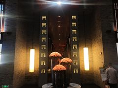 -三亚太阳湾柏悦酒店