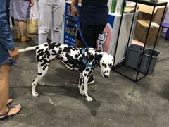 -香港会议展览中心演讲厅