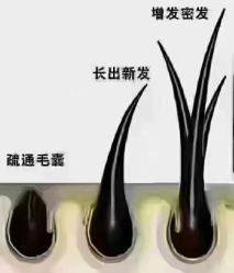 -LJOY丽锦造型·烫发染发