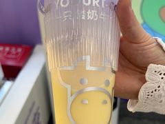 -一只酸奶牛(洪崖洞11楼店)