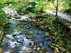 -广州市石门国家森林公园