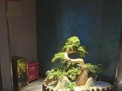 -陆琴脚艺·足浴·SPA(夫子庙店)