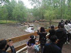 -溱湖国家湿地公园