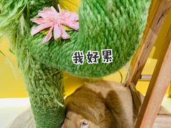 -中海环宇荟
