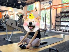-BiM综合体能训练中心(漕河泾绿洲馆)