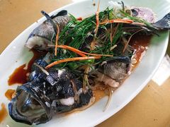 -四姑娘川味海鲜(八爪鱼店)