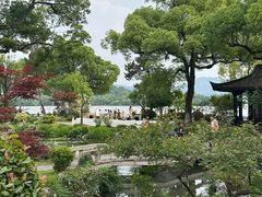 -杭州西湖柳莺里酒店·闻莺厅