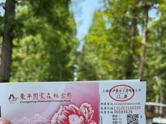 -东平国家森林公园