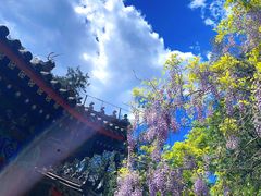 -北京艺术博物馆(万寿寺)